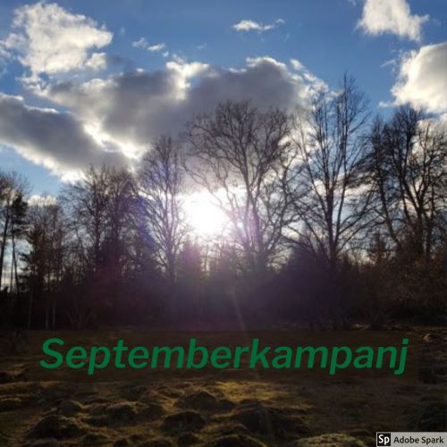 En hage där solens strålar går mellan träden i bakgrunden. Texten Septemberkampanj står i förgrunden. Vad ser du fram emot i september?
