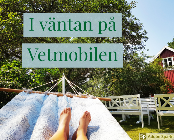 En sommarbild med en trädkrona i bakgrunden, ett rött hus till höger och vita trädgårdsmöbler. I förgrunden finns fotänden av en hängmatta och ett par fötter syns. Texten i väntan på Vetmobilen. Bilden ska ge känslan av avkoppling när man väntar hembesök från Vetmobilen för sitt djur.