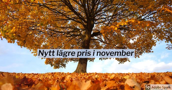 Höstlöv på ett träd och med många orange höstlöv på marken under. Texten Nytt lägre pris i november.