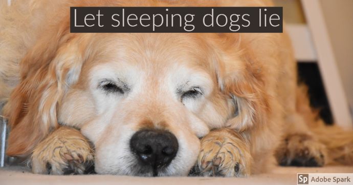 En sovande äldre hund av golden retrievertyp med texten "Let sleeping dogs lie". Texten handlar om att förbättrad sömn är välgörande för en hund med kronisk smärta pga artros.