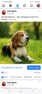 kennelhosta hund Facebookbild