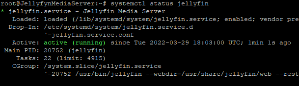 Jellyfyn Media Server Installation überprüfen