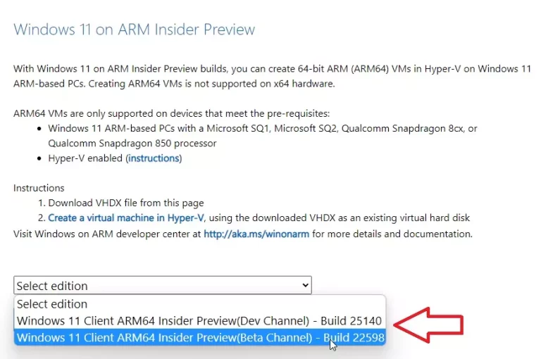 Build-Version herunterladen von Microsoft Windows-11 Betriebssystem für ARM-Notebooks