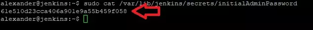 Installation eines Jenkins-Servers für Linux