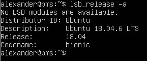 Linux Distribution Ausgabe über die Shell mit lsb_release