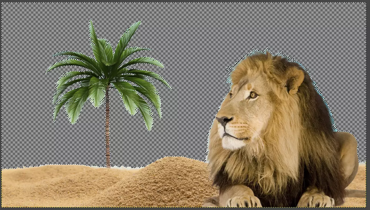 Der Hintergrund ist jetzt transparent und kann in GIMP entfernt werden