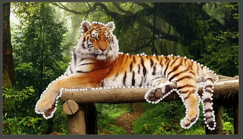 Die Bildbearbeitung - Das Motiv markieren um den Hintergrund zu entfernen