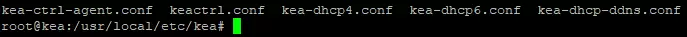 DHCP Server Installation KEA unter Linux Ubuntu und Debian