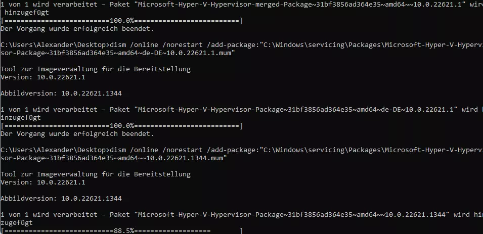 Installationsprozess (Jetzt wird Hyper-V auf Microsoft Windows 11 Home-Version installiert)