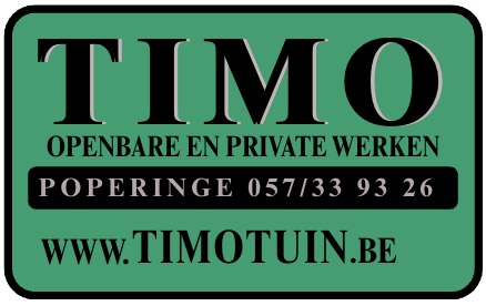 Timo Tuin
