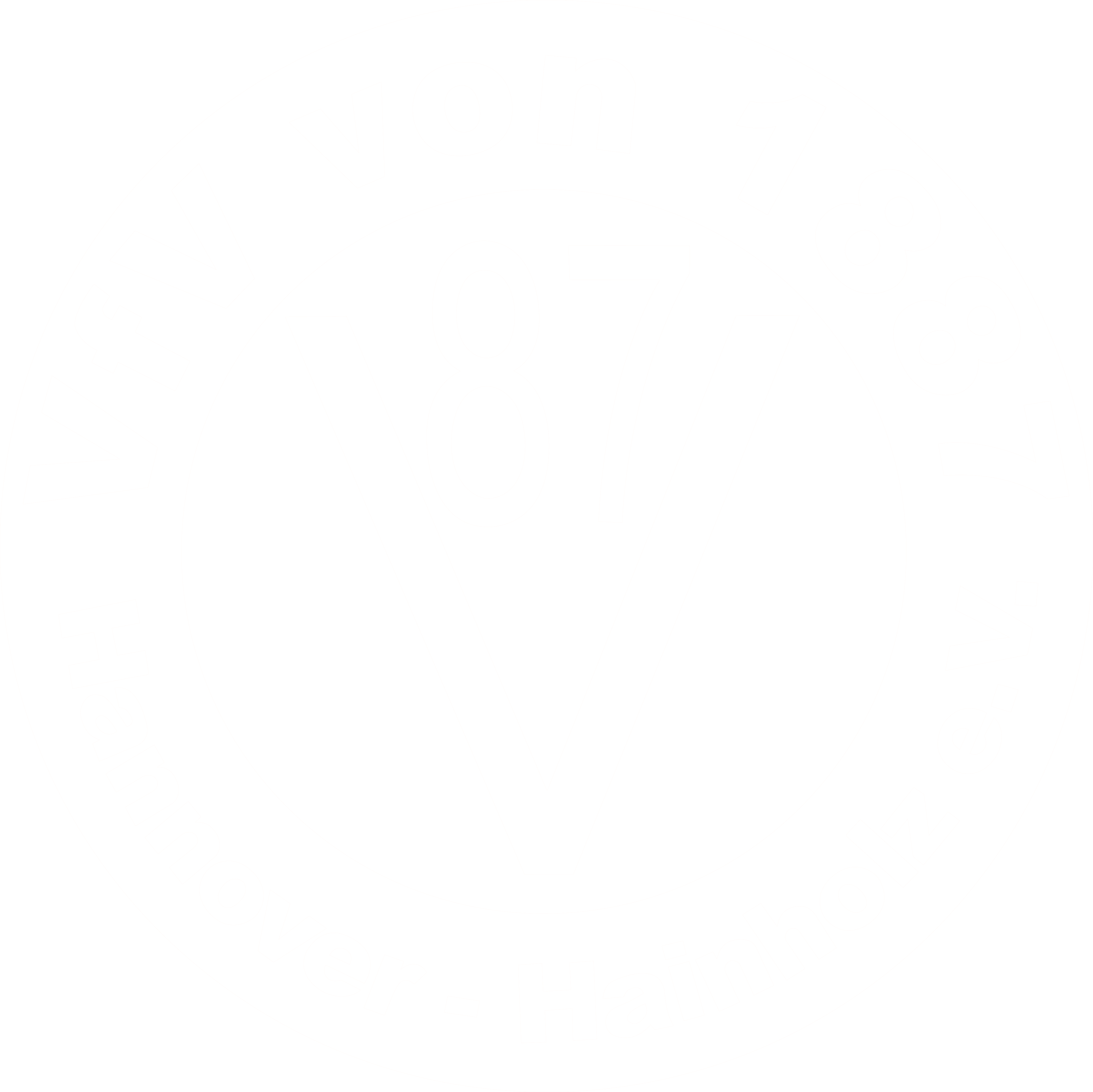 VfV Hainholz