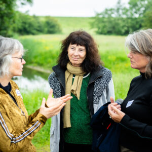 Kunstkamp 2024: I want to live in the country     (and other romances)