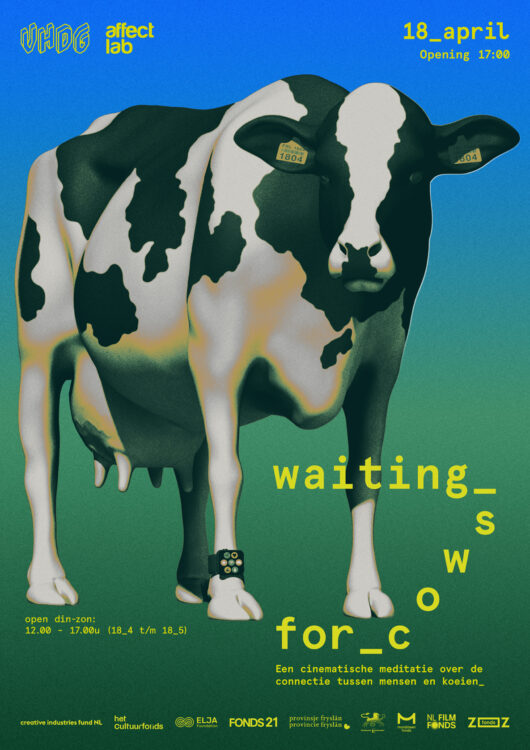 Waiting for Cows