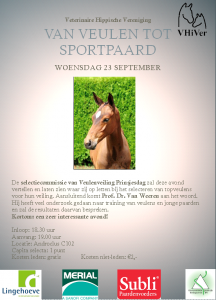 Veulen tot sportpaard