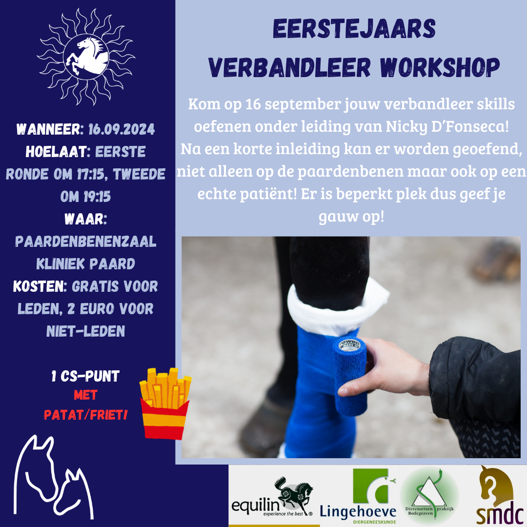 Eerstejaars verbandleerworkshop (1)