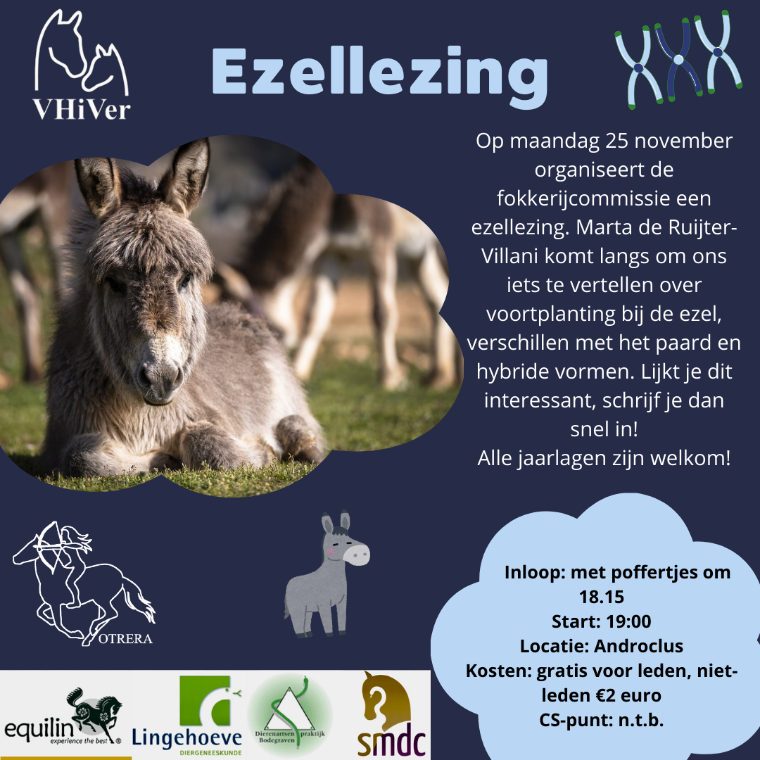 Ezellezing