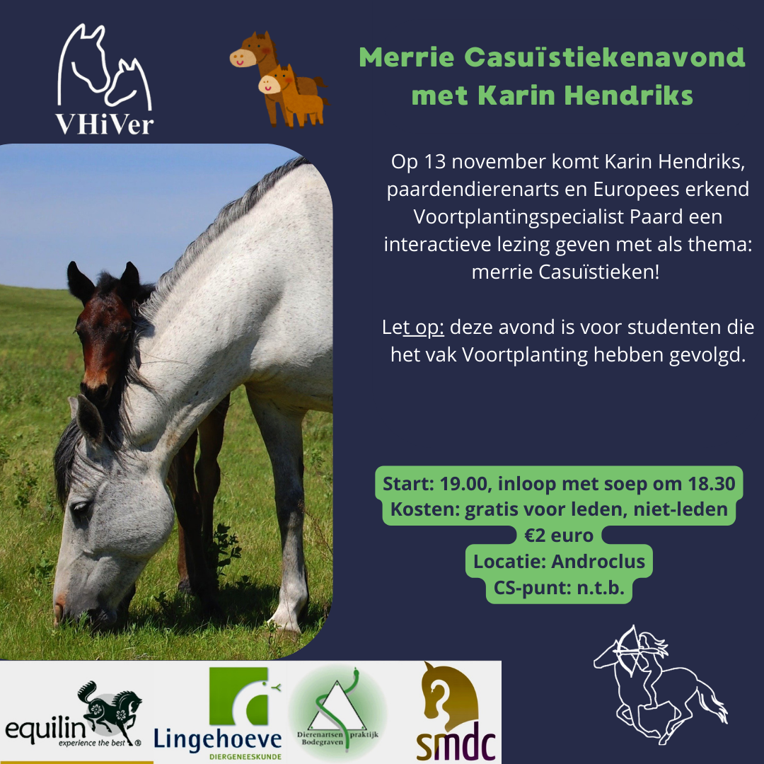 merriecasuïstieken