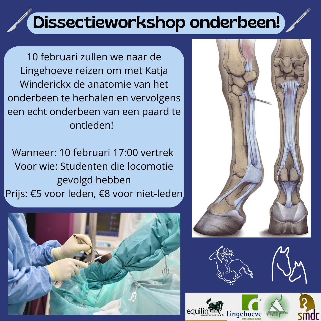 dissectieworkshop