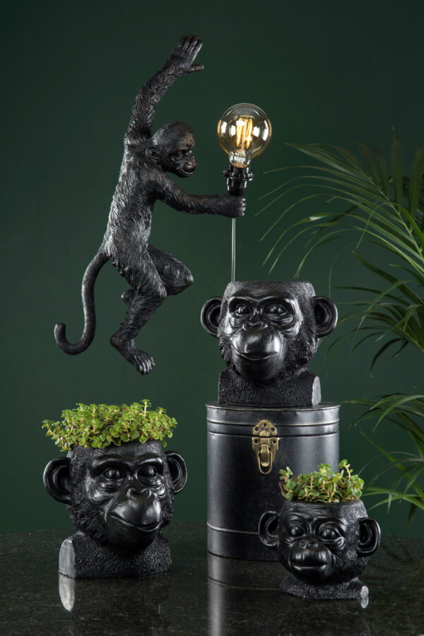 Sort ape dekor og ape krukke miljø