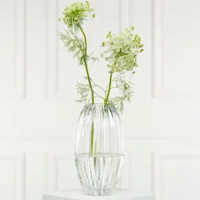Vase Cane Clear