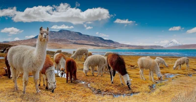 Puno Region in Perú