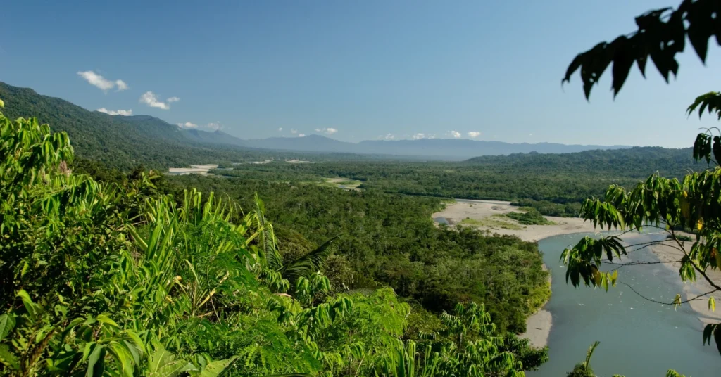 Madre de Dios - Manu_National_Park