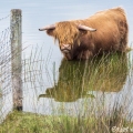 Fotomodel op de groeve Oostermeent