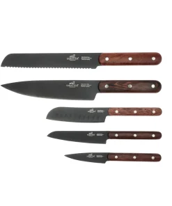 Lion Sabatier International knivsæt Phenix
