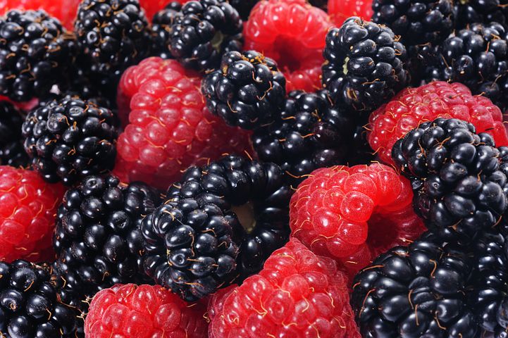 raspberries and blackberries 5001160 480