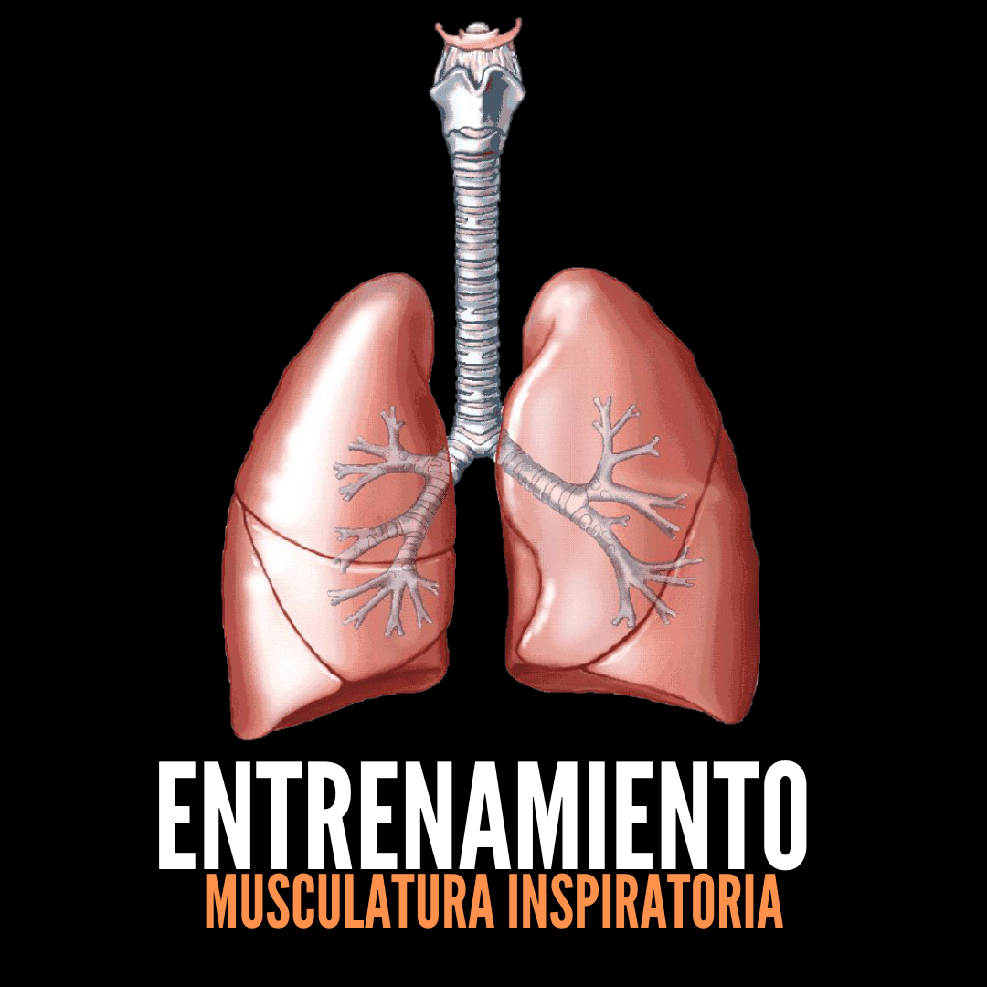 Juego Respiración Interactivo Juguete De Entrenamiento Respiratorio Ballena - Herramienta Para Desarrollo Pulmonar Niños, Juego Interactivo Juguete Interacción Soplar Juego Respiración Interactivo Juguete De Entrenamiento Respiratorio Ballena - Herramienta Para Desarrollo Pulmonar Niños, Juego Interactivo Juguete Interacción Soplar