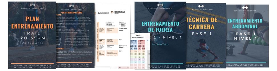 Ficha de Diario Entrenamiento PDF