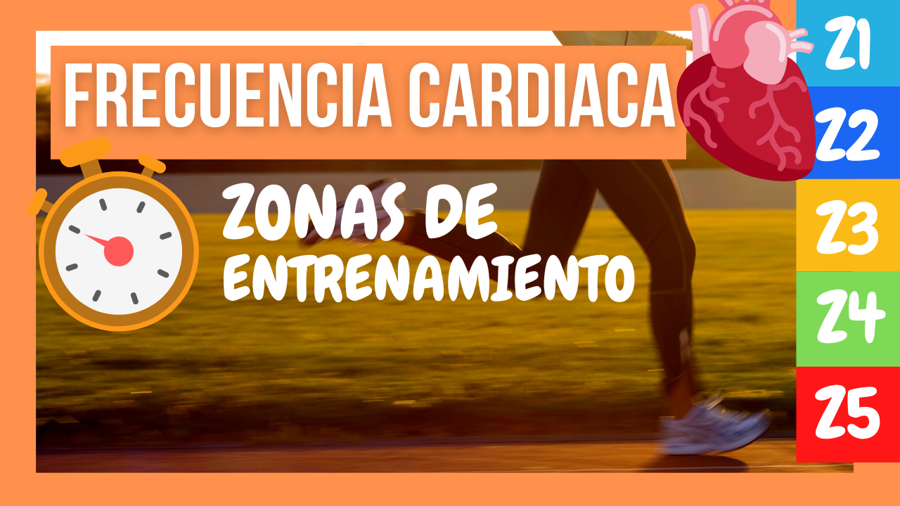 zonas de entrenamiento por frecuencia cardiaca en corredores - Victor  Valldecabres