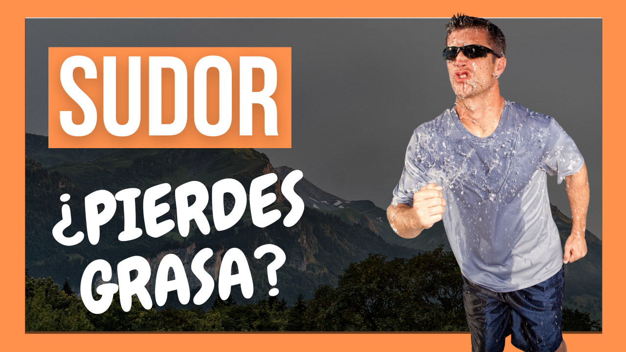 sudor y perdida de grasa