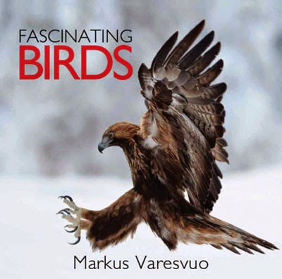 Fascinating Birds - Review