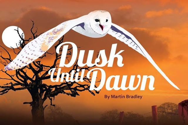 Dusk Until Dawn by Martin Bradley - Review