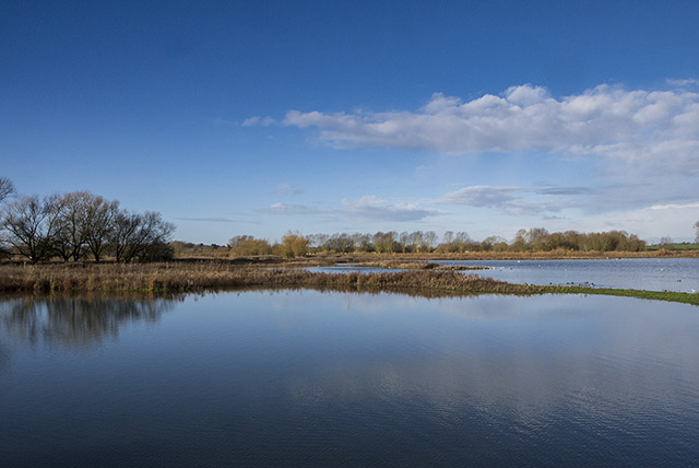 Blue Reflections