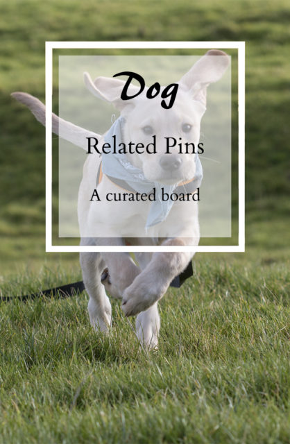 Dog Related Pins