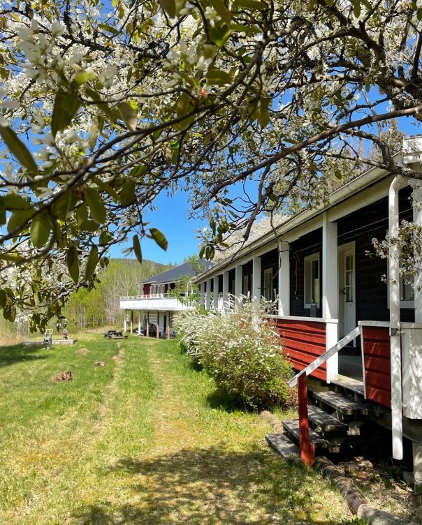 rooms in spring