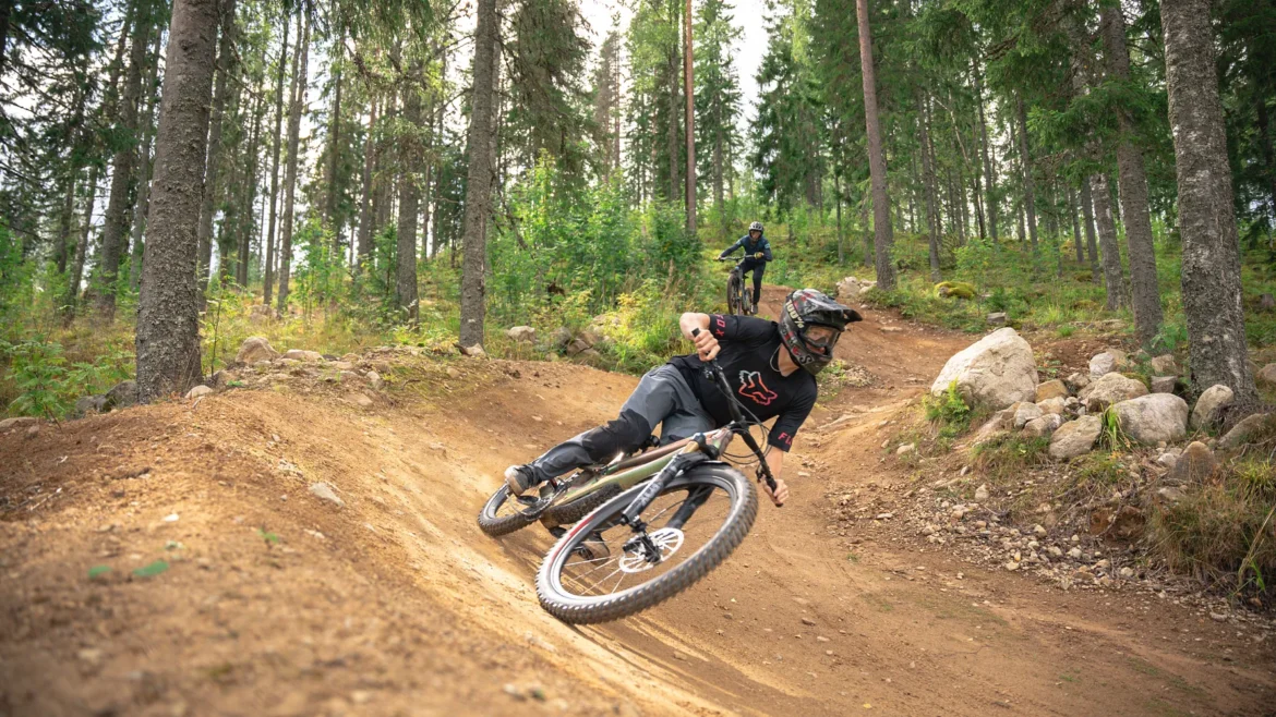 Rekordsommer i Kungsberget