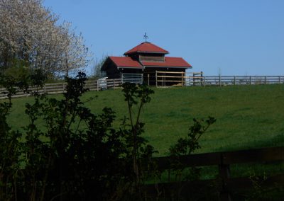 stiltewandeling