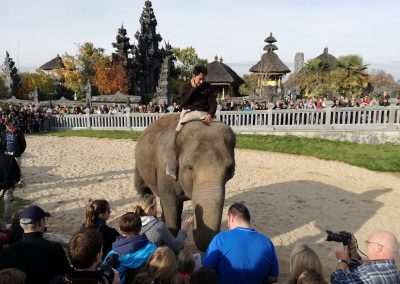 **** B&B Hakuna Matata - Pairi Daiza- Geraardsbergen