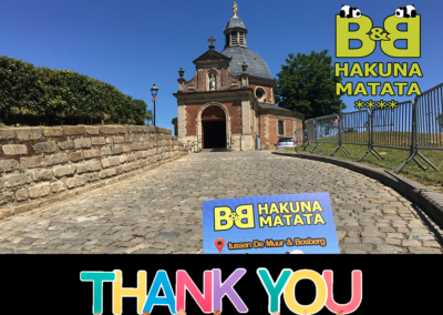 **** B&B Hakuna Matata - logeren nabij Pairi Daiza- Geraardsbergen