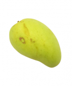 Mango giant