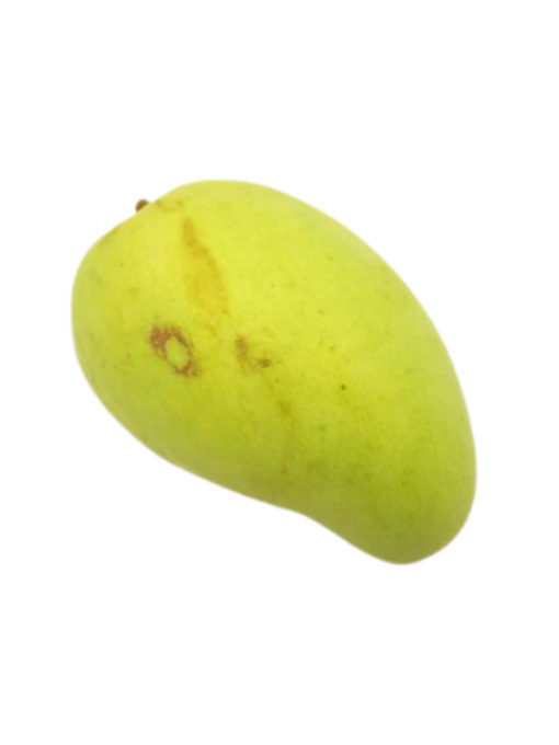 Mango giant