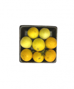 Egg plant yellow 200g