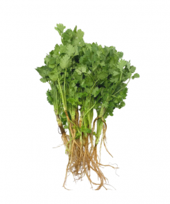 Coriander 80g