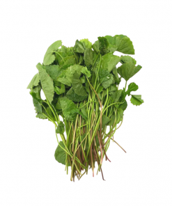 Pennywort 80g