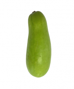 Squash/Wax gourd