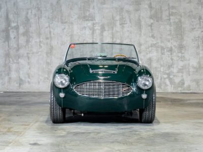 Austin Healey 100/6