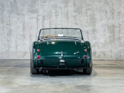 Austin Healey 100/6